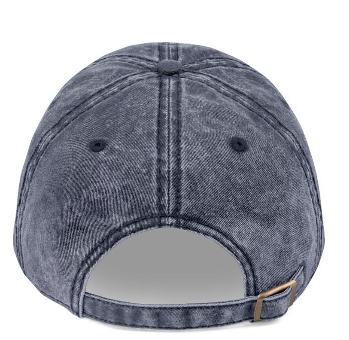 Limone cap in Navy, back view